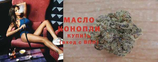 PSILOCYBIN Ельня