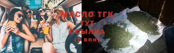 PSILOCYBIN Ельня