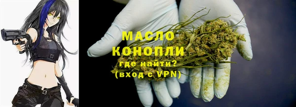 PSILOCYBIN Ельня