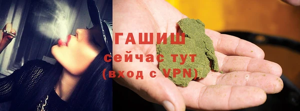 PSILOCYBIN Ельня