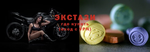 PSILOCYBIN Ельня