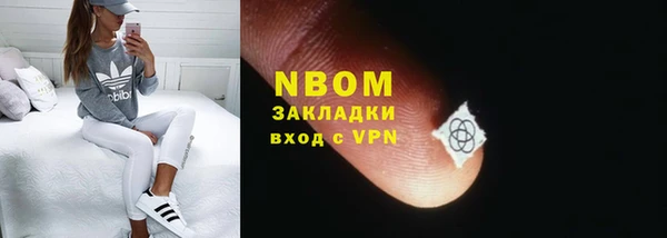 PSILOCYBIN Ельня