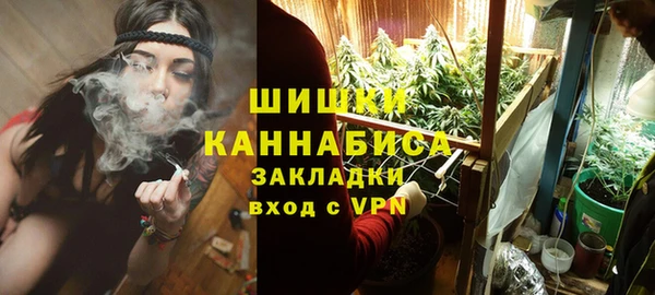 PSILOCYBIN Ельня